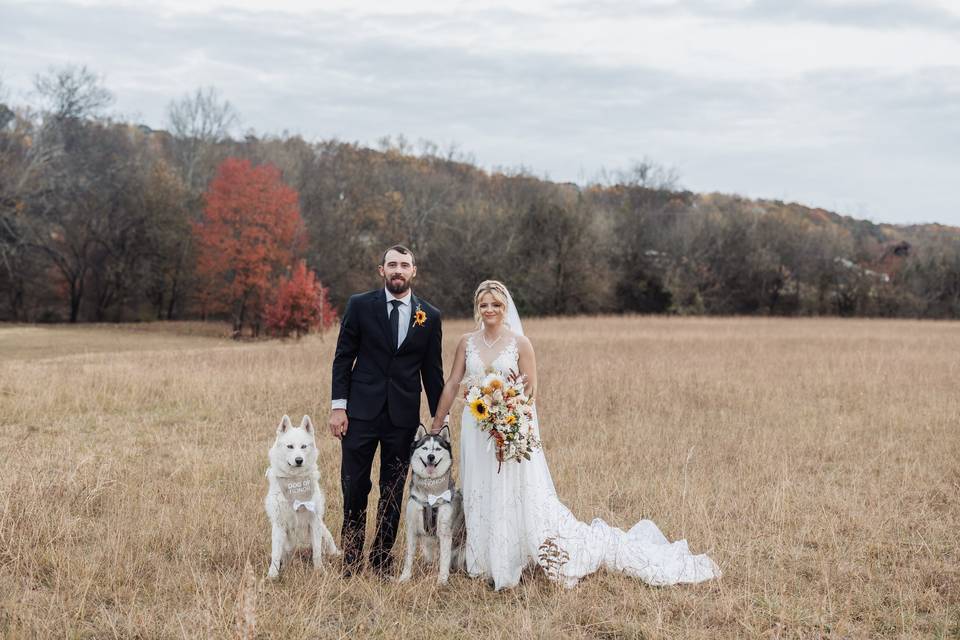 White Fox Wedding Photography