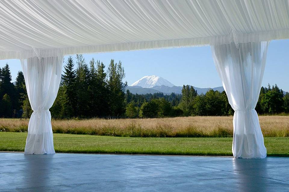 Reception with Mt Rainier view