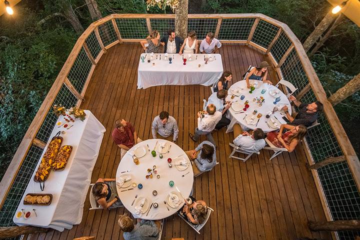 Micro Wedding in the Treehouse