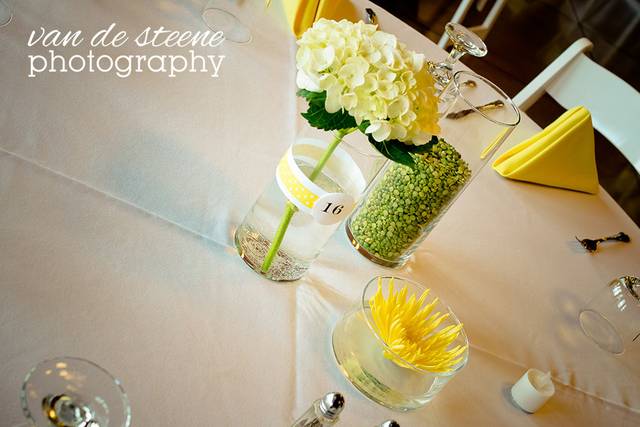 Van De Steene Photography