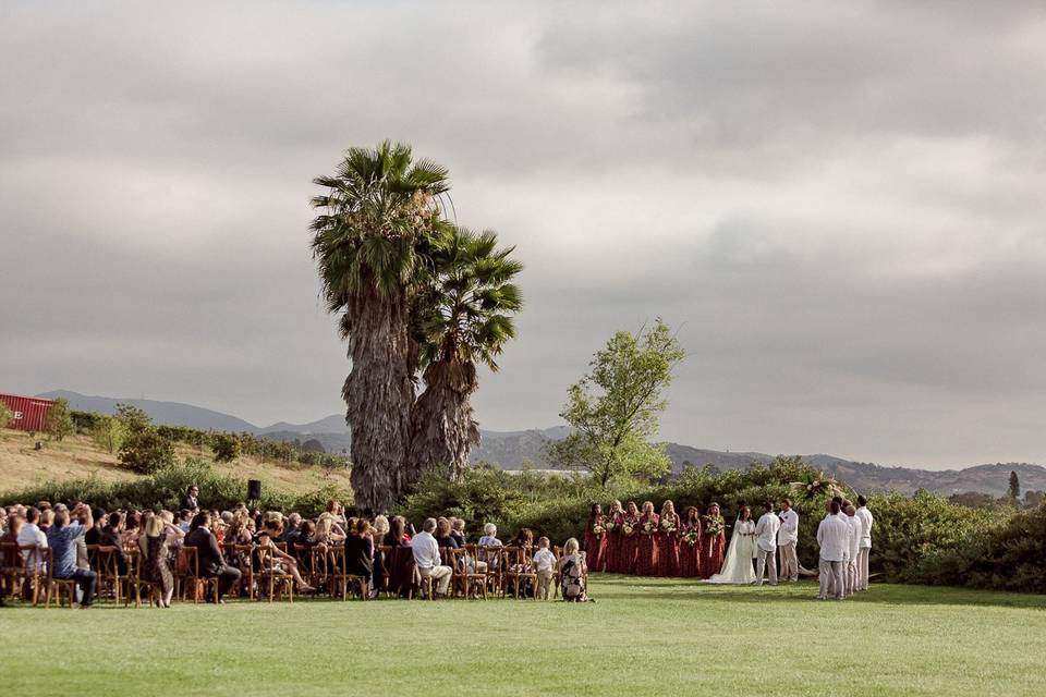 Panoramic view- Hailley Howard Photography