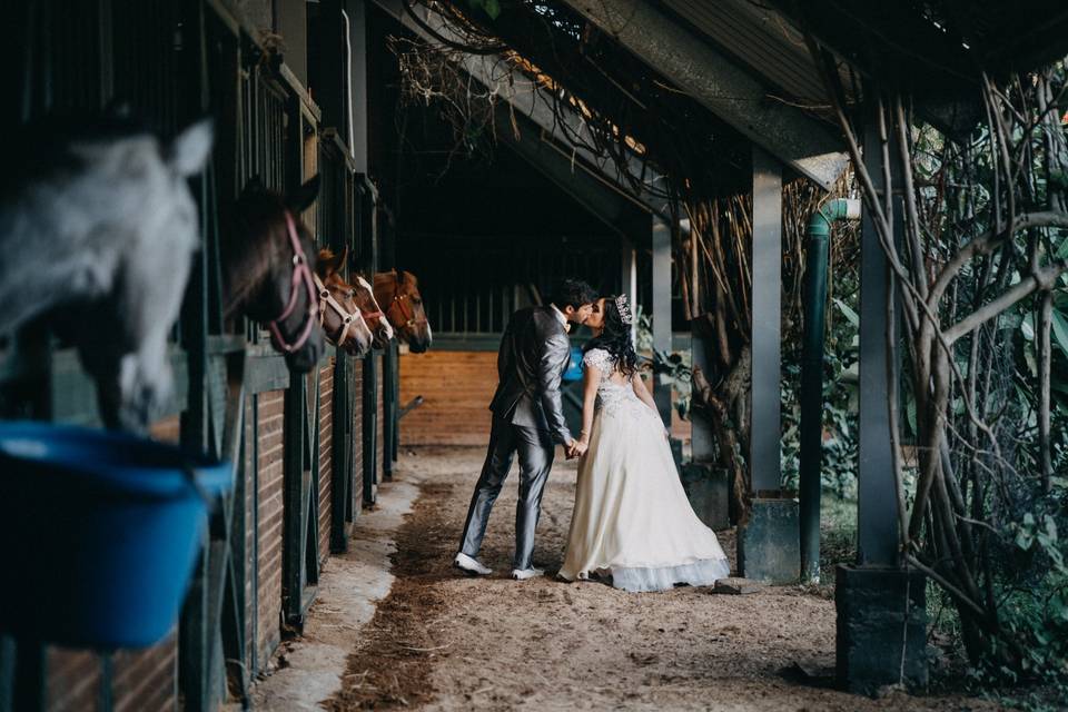 Trash the dress