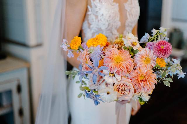 Hannah Henke Photo