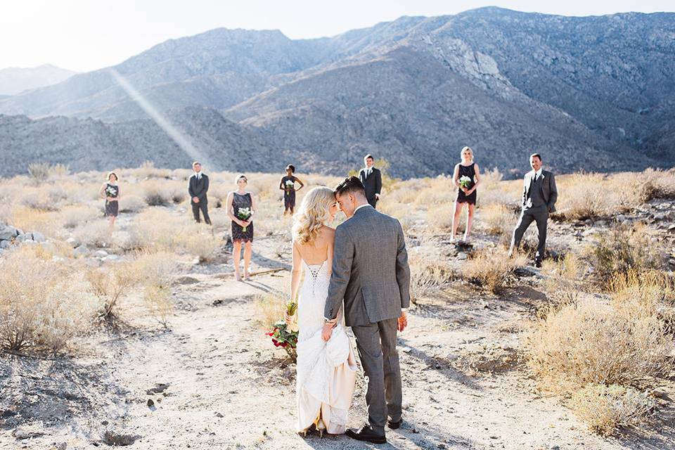 The couple with the bridesmaids and groomsmen