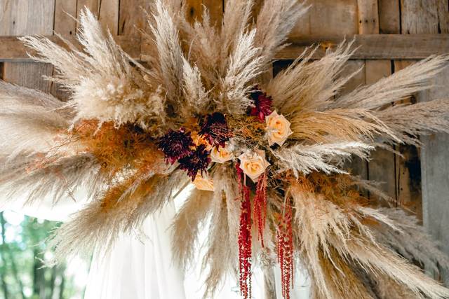 Ceremony pampas grass