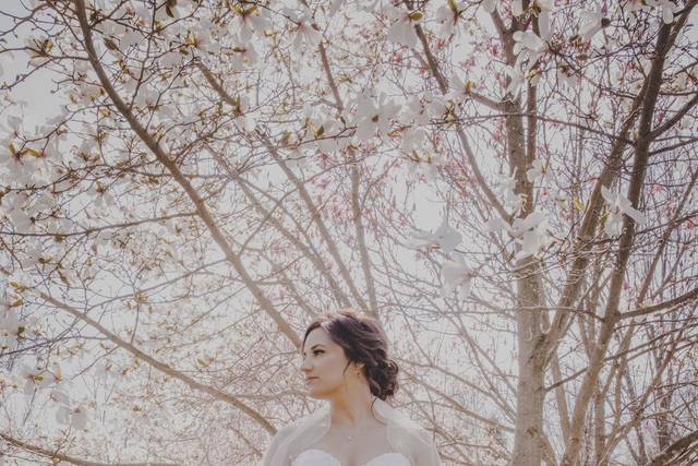 Kim & Steve Wedding