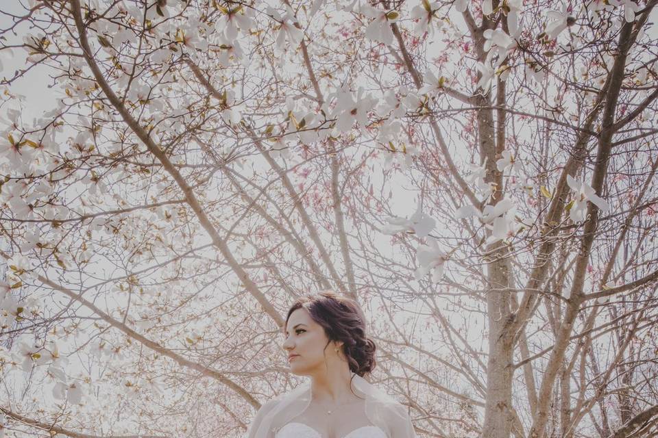 Kim & Steve Wedding