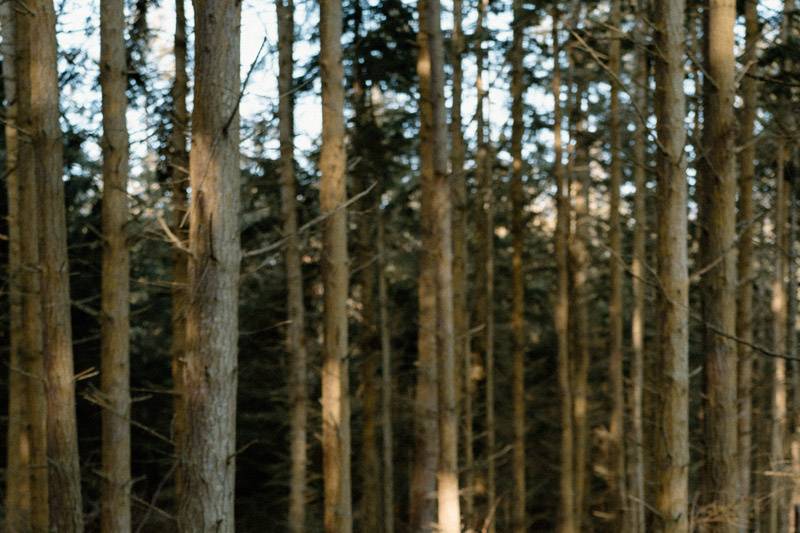 PNW Lesbian Elopement