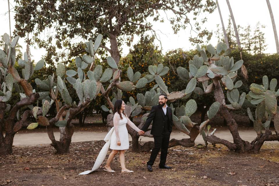 Sonoma Wedding Photographer