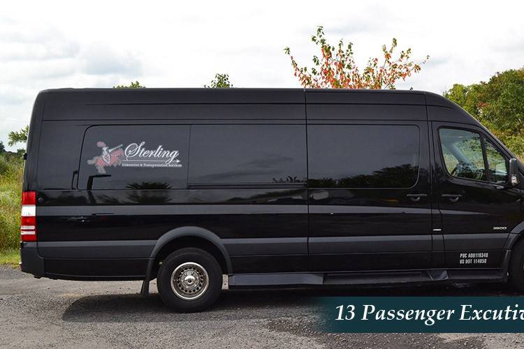 13 passenger Sprinter