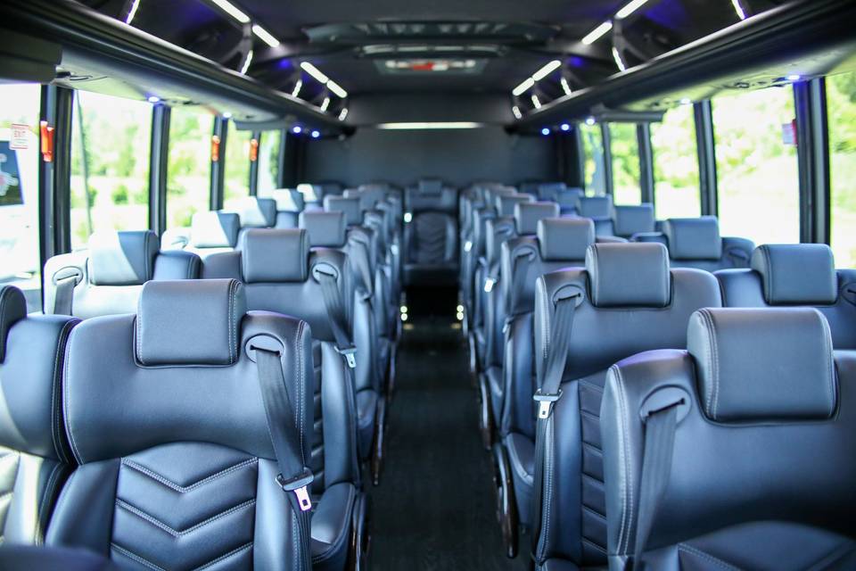 41 Passenger Minibus Interior