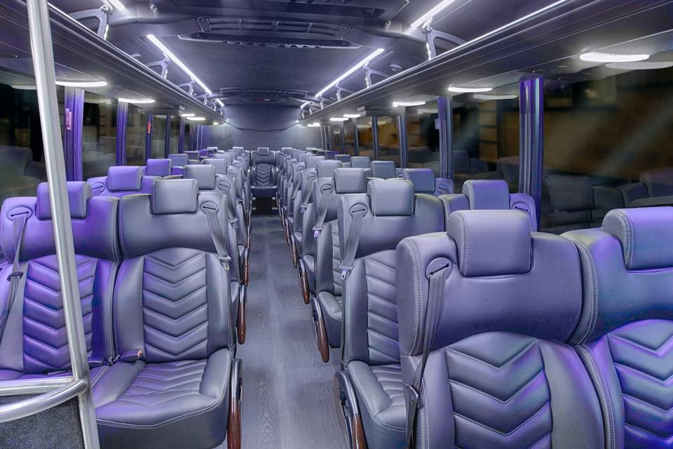 41 Passenger Minibus Interior