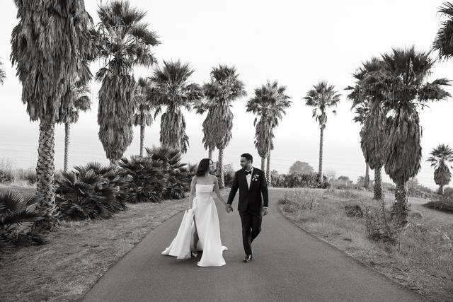 Mollie Crutcher Photography