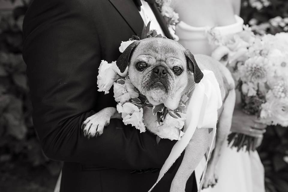 California Coastal Wedding