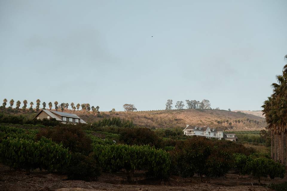California Coastal Wedding