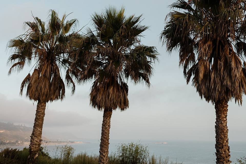 California Coastal Wedding