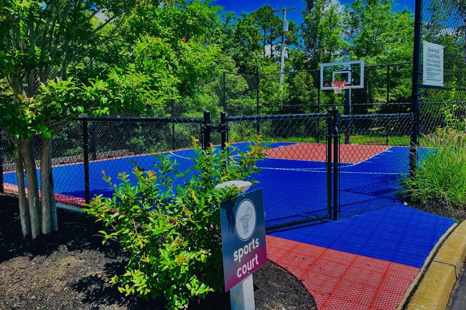 Basketball Court