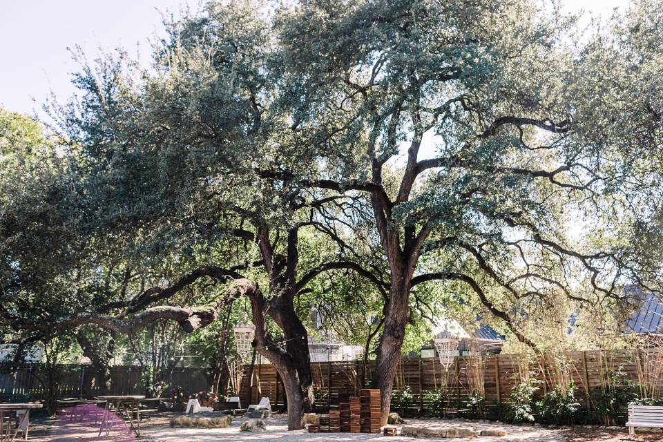 Backyard Ceremony