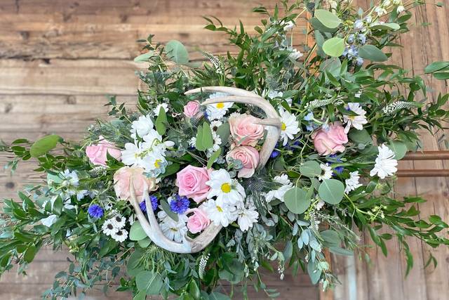 The petal and the stem