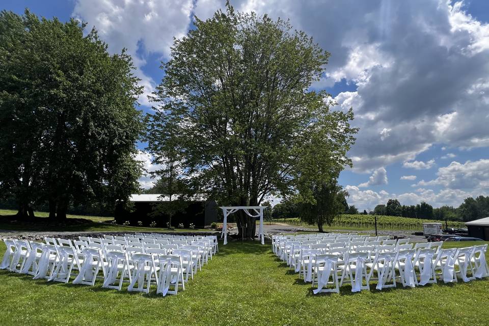 Ceremony in the Vines