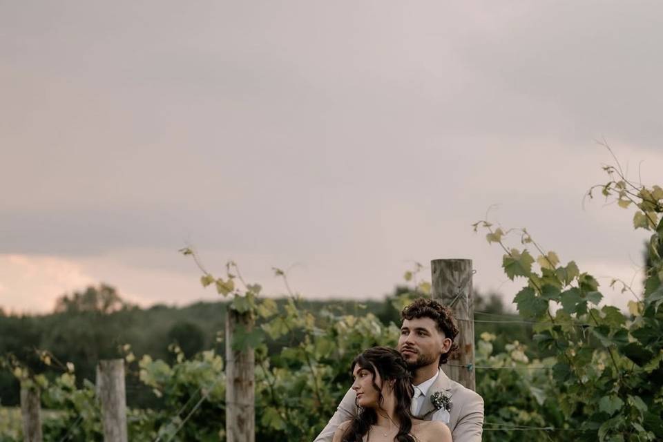 Photos in the Vines
