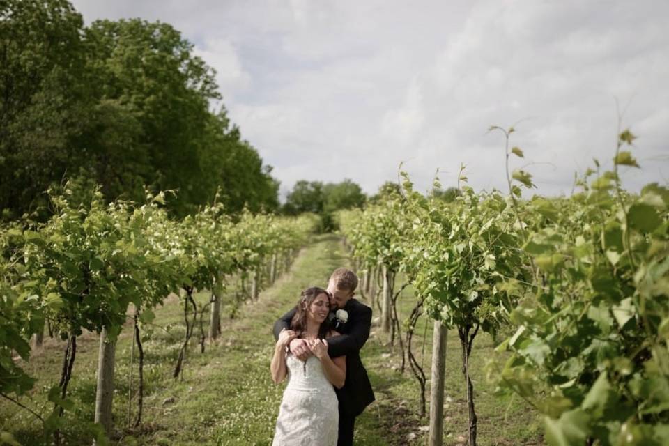 Vineyard Photo