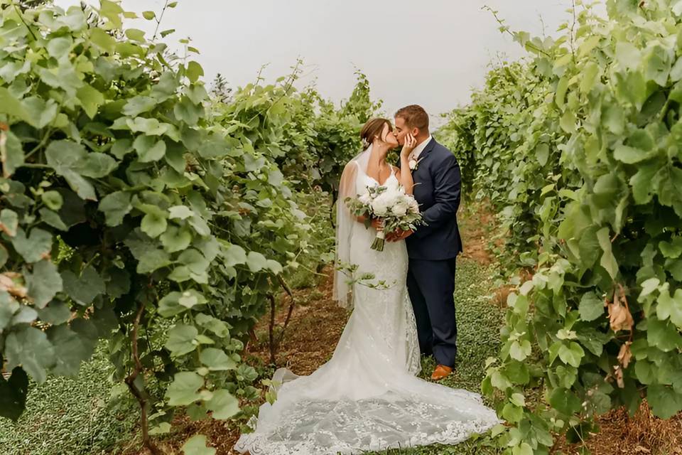 Wedding in the Vines
