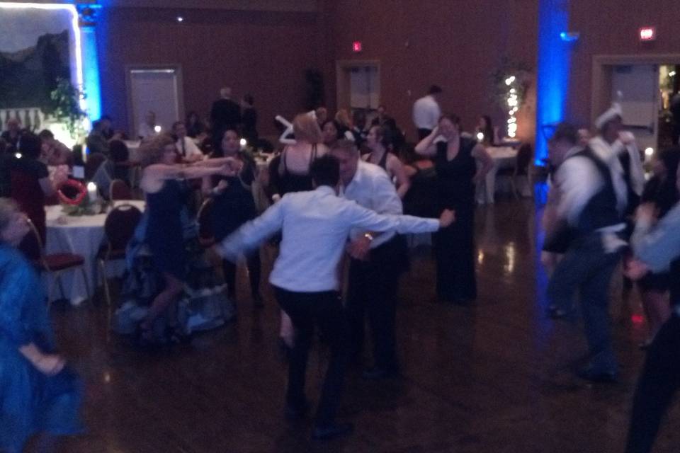 Fantasia Sound Disc Jockeys