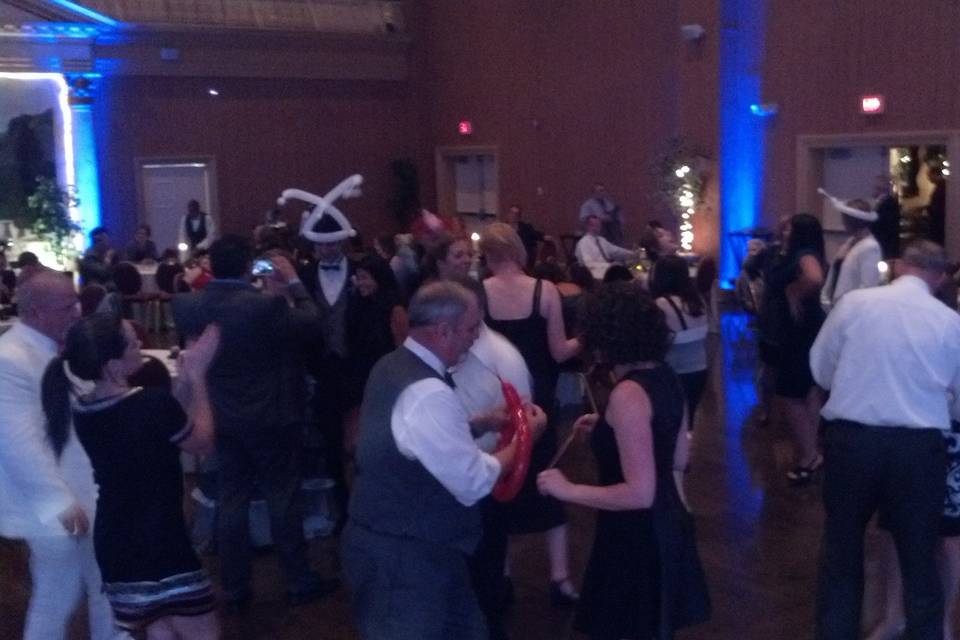 Fantasia Sound Disc Jockeys