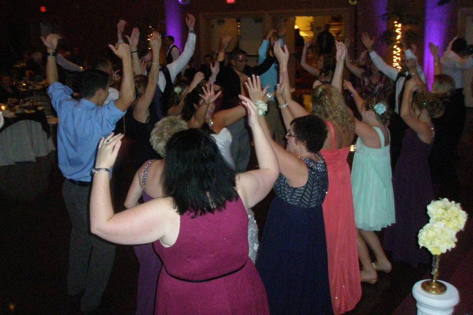 Fantasia Sound Disc Jockeys