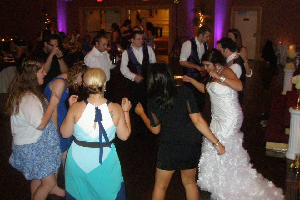 Fantasia Sound Disc Jockeys