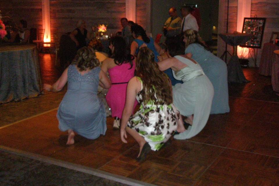 Fantasia Sound Disc Jockeys