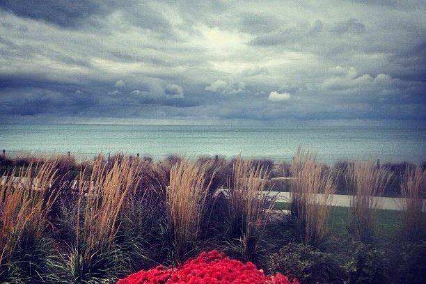 Loyola's Palm Court atrium- Lake Shore Campus