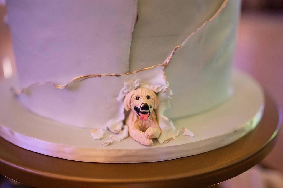Dog featured in Cake