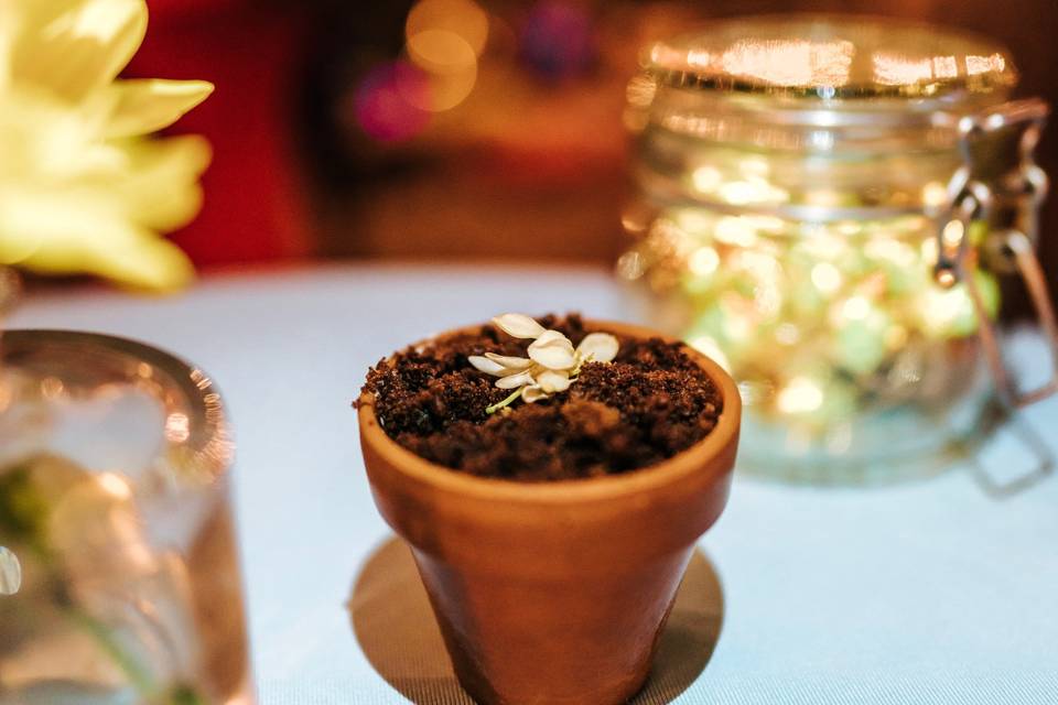 Cake in a flower pot!