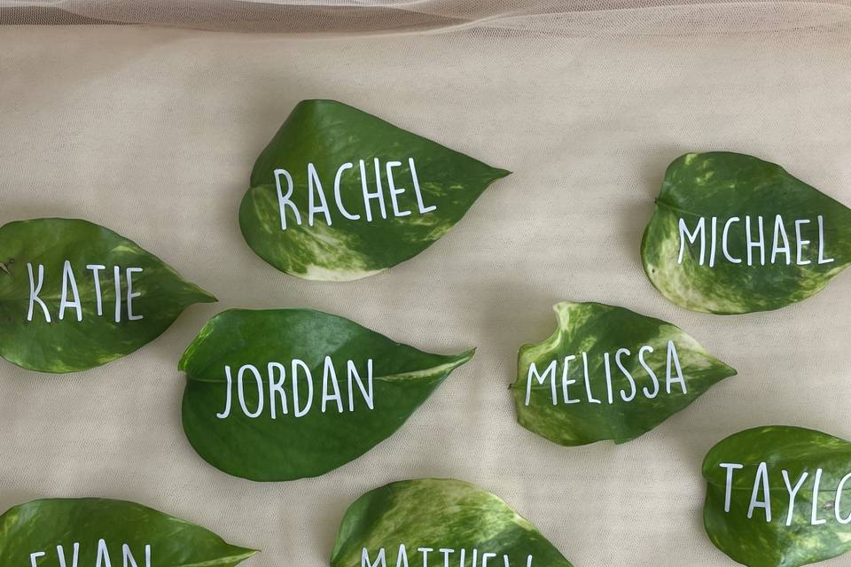 Philodendron Place Cards