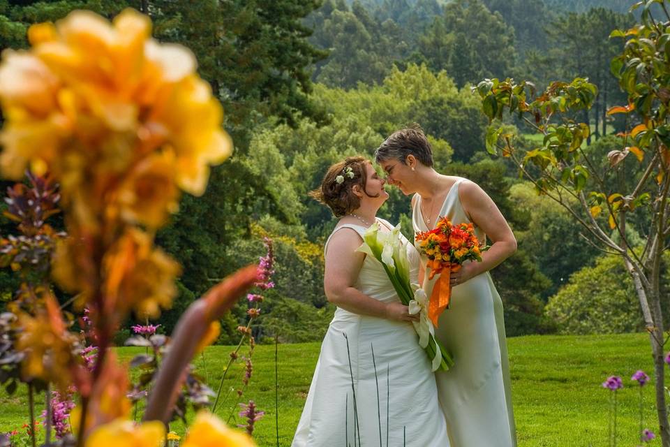 Dianne Jones Photography