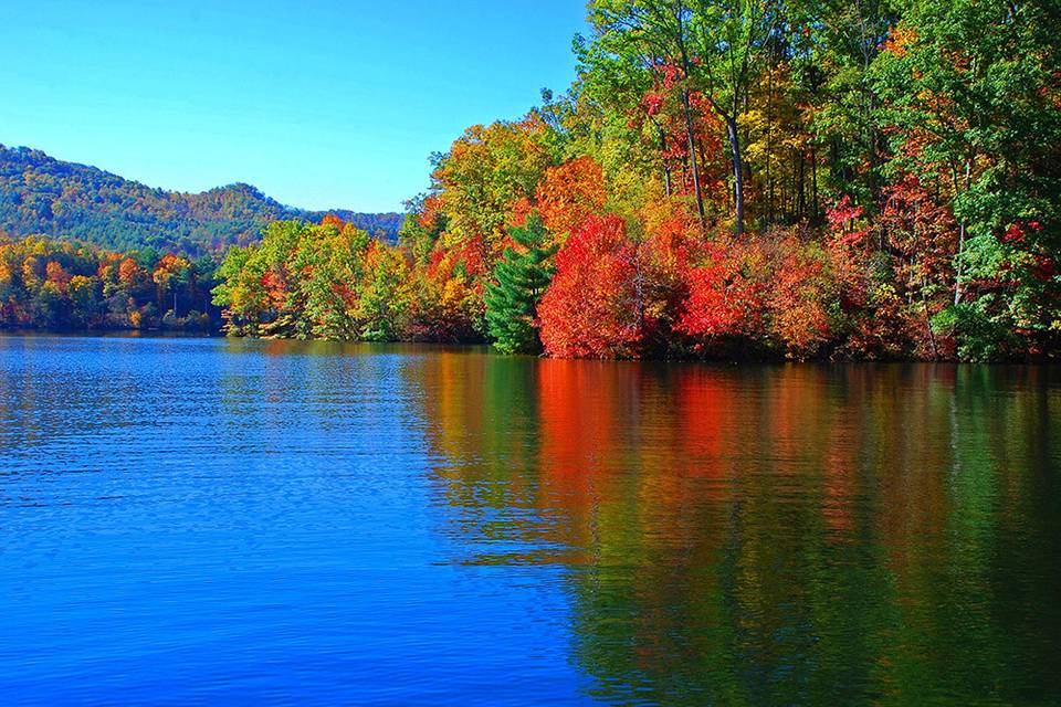 Bear Lake Reserve