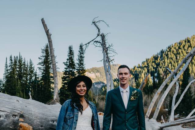 We love all kind of trees