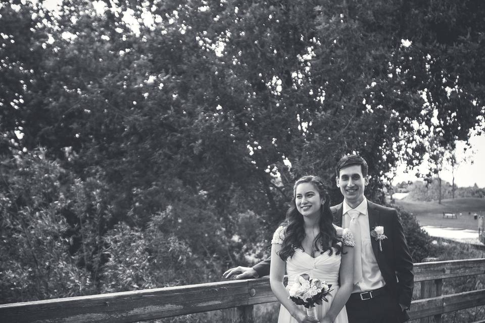 Newlyweds portrait