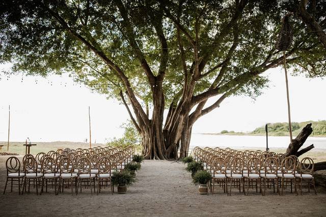 Beach Front Garden Ceremony