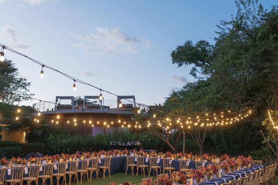 Blue Color Wedding