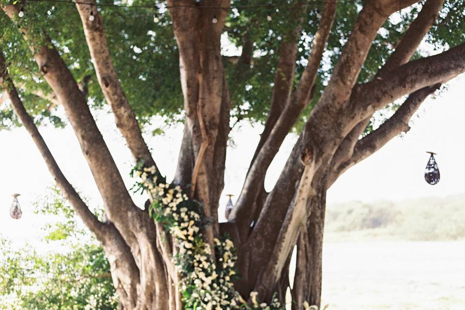 White Tropical Alter flowers