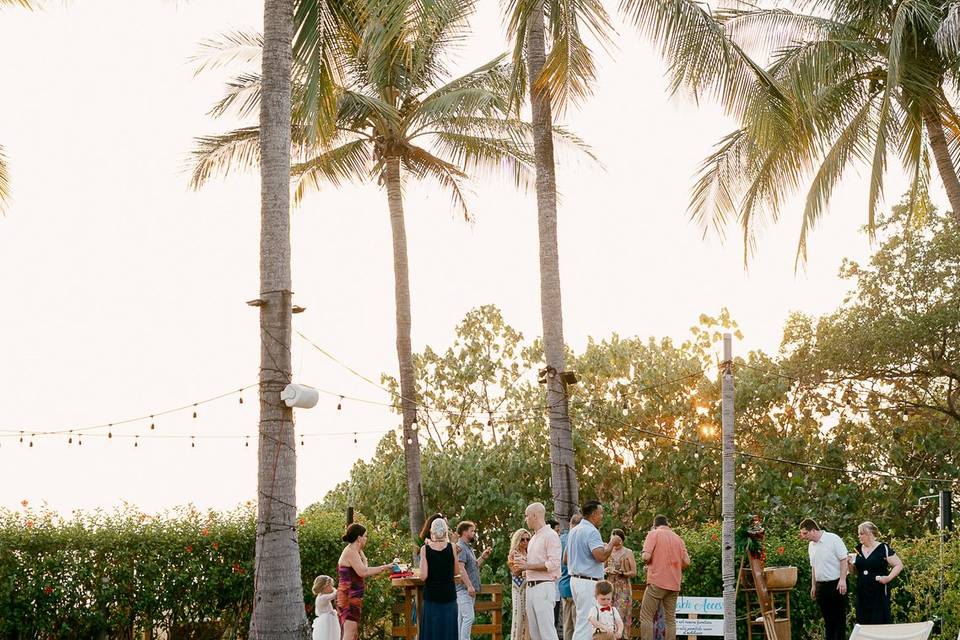 Tropical Wedding