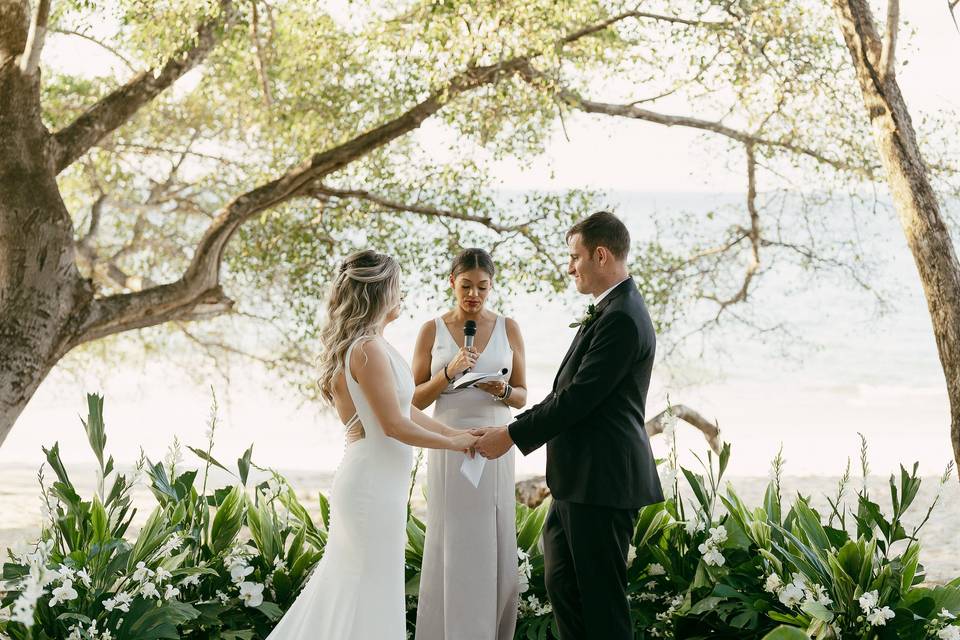 Beach Front Wedding