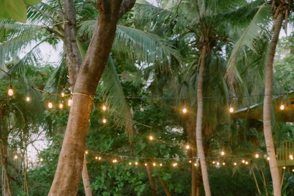Pura Vida Neon