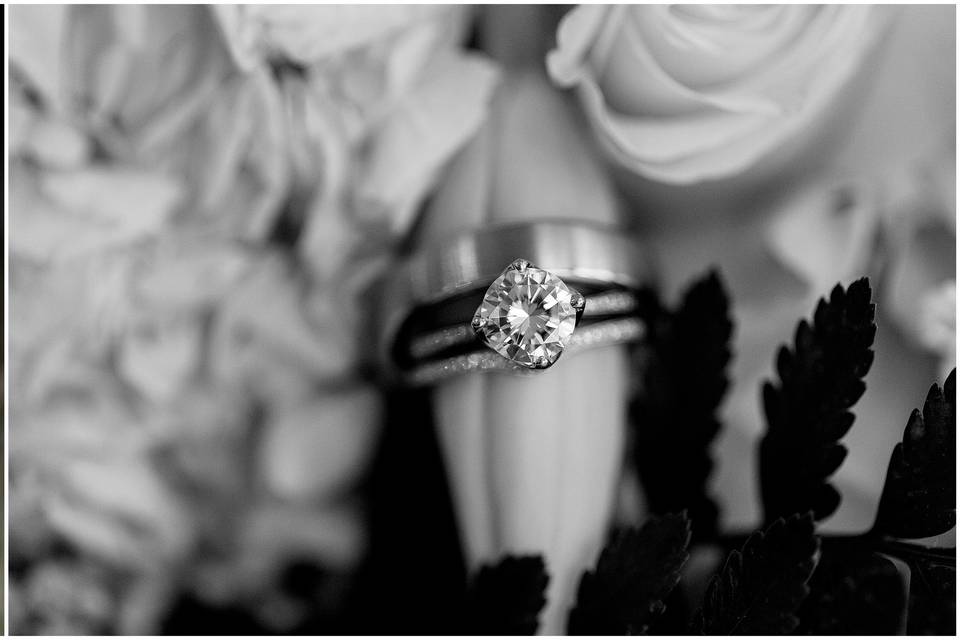 Nichole Haun Photography