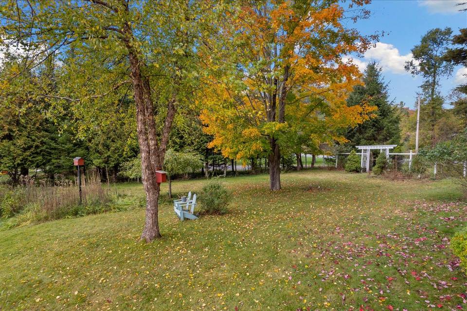 Backyard area