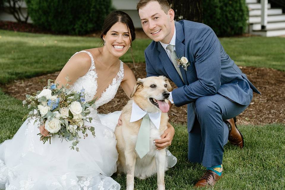 Dog friendly wedding venue