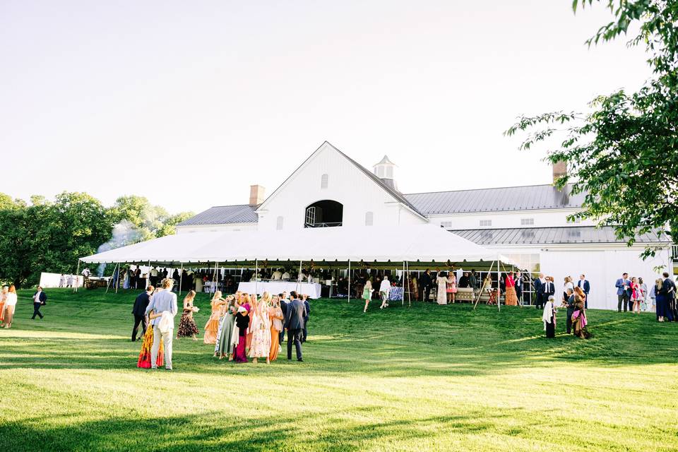 Tented Terrace